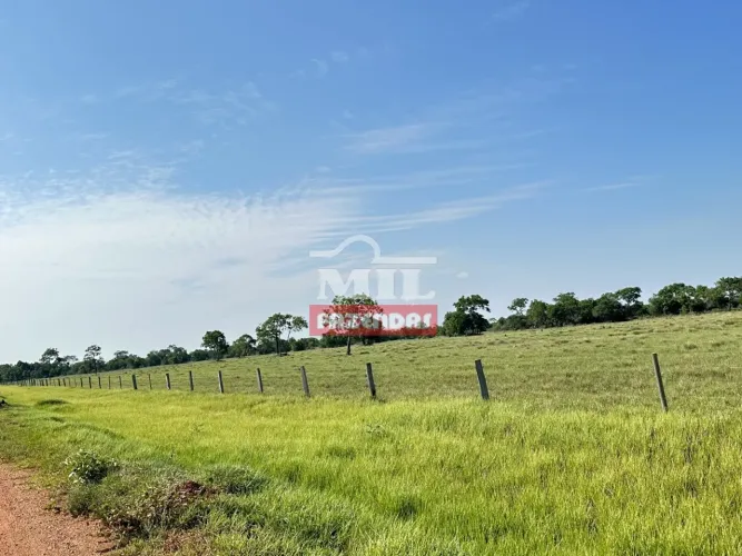 Fazenda de 1.612 alqueires em Cocalinho - Mato Grosso.