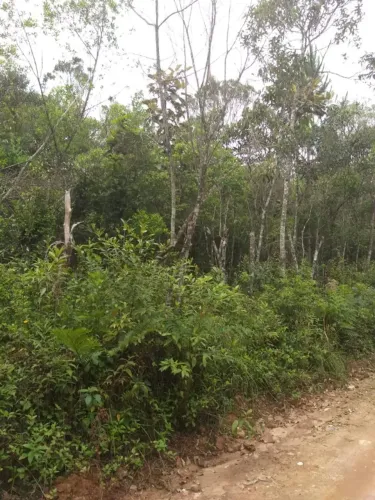 Terreno Plano Sem Construção, 2.500m², Embura, Cipó, $ 75 Mil