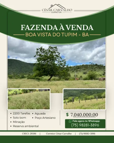 FAZENDA EM BOA VISTA DO TUPIM - 2200 TAREFAS