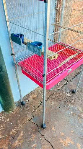 Gaiola para calopsita pássaros grande