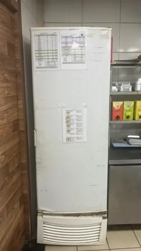 Freezer Vertical Gelopar