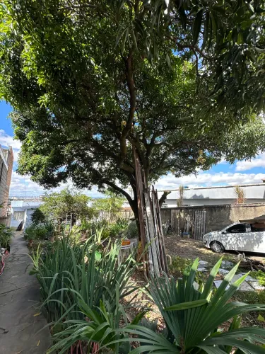 Casa ótima localização e espaço de sobra pra fazer oque sonhar?