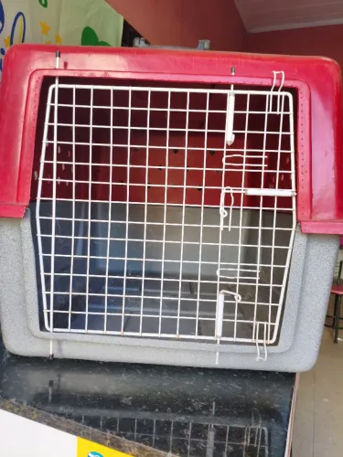 Vendo Caixa de transporte para cães de porte grande 