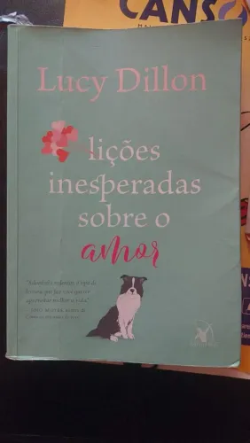 Liçoes inesperadas sobre o amor