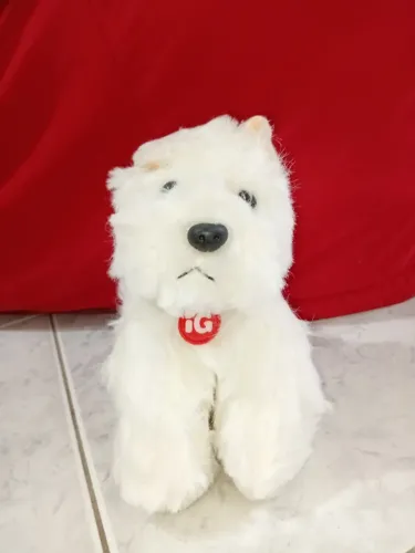 RARIDADE ANOS 2000 - PELÚCIA CACHORRINHO iG - BABY BRINK - COLECIONADOR Anúncio ?
