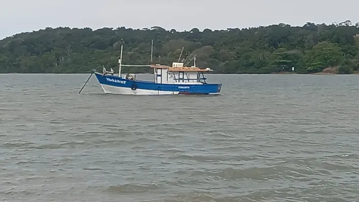 Barco para pesca