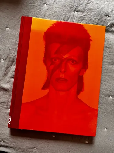 David Bowie Is...: Inside the Visionary World of David Bowie