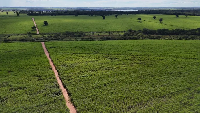 Fazenda de lavoura São Paulo 