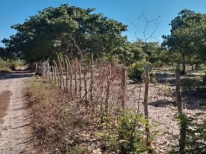 Lote, Residencial, Curimatã - 16432m²