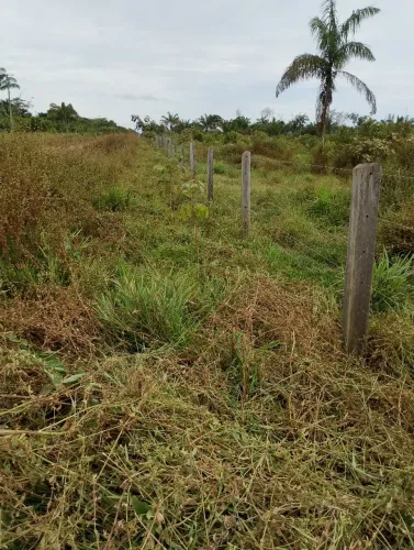 Sítio a venda 21 alqueires todo em pastagem