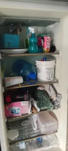 Freezer 110w vertical