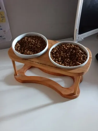 Comedouro de gato