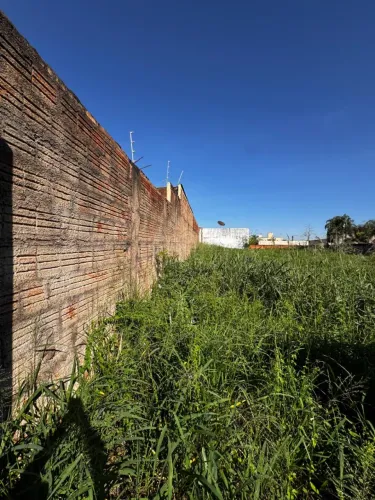 Terreno Padrão em São José do Rio Preto