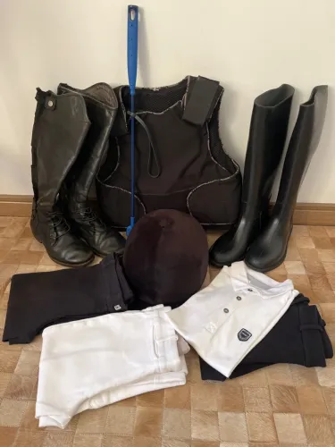 Hipismo