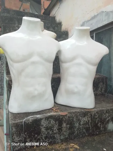 Bustos masculino