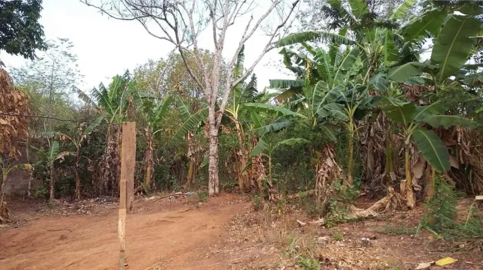 Excelente oportunidade