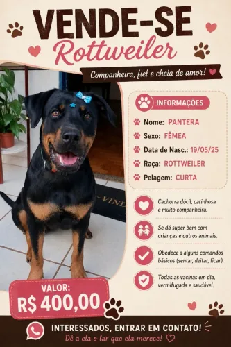 Adoção de Rottweiler 