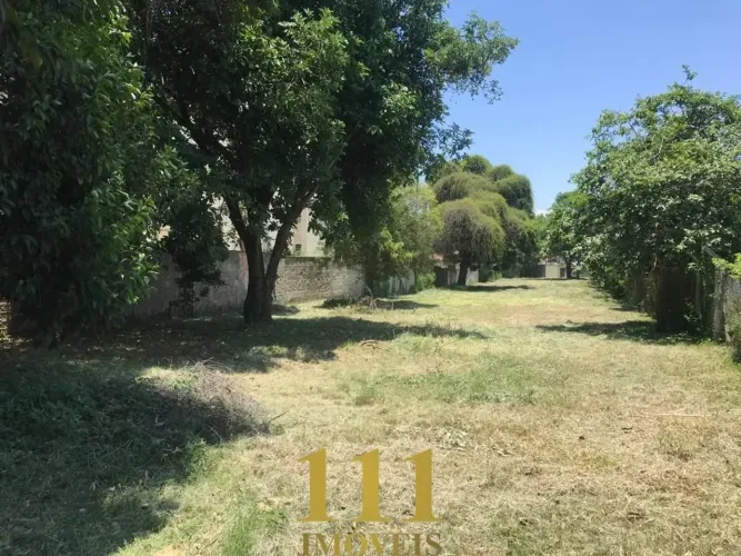 Terreno à venda - Vila São José - Taubaté/SP