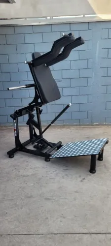 Hack Squat