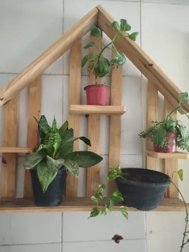 Prateleira de madeira para plantas