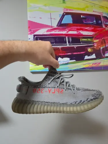 Yeezy 350