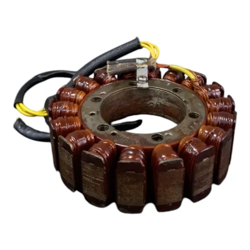 Estator Bmw 1200/1250gs 2019/2022 Com Detalhe Plug