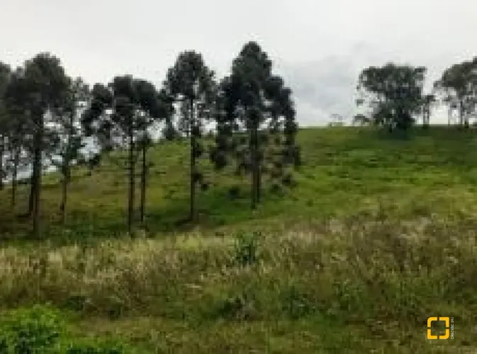 Terrenos Residenciais em Rio Bonito