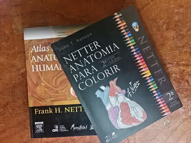 Livros de anatomia Netter para colorir e Atlas de anatomia 6° edição