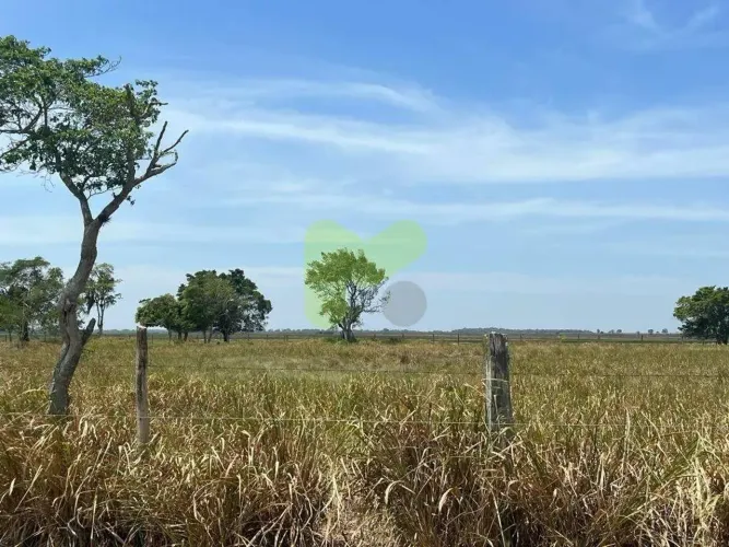 Fazenda à Venda em Quissamã/RJ 41 Alqueires Geométricos