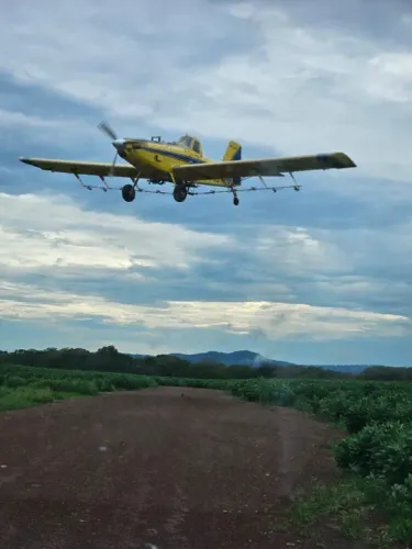 FAZENDA EXCLUSIVA EM DOVERLÂNDIA-GO: 380 ALQUEIRES GOAINO