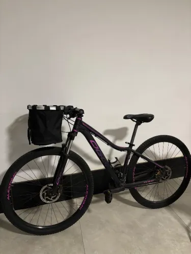 bike oggi aro 29