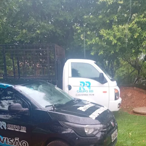 Serviços de jardinagem profissional 