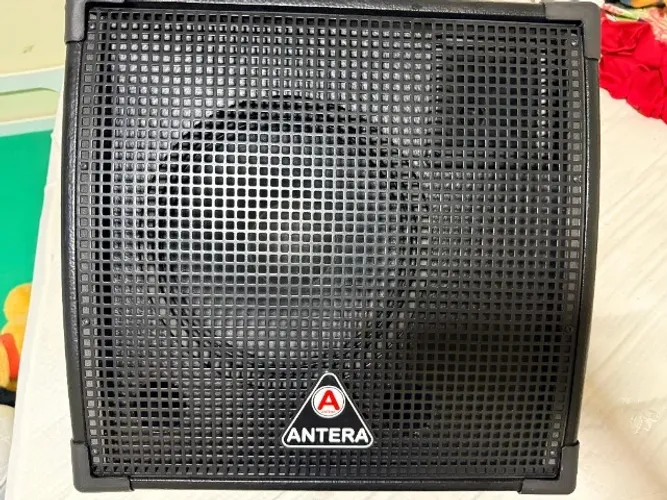 Monitor De Palco Passivo 100w 10 Polegadas M 10.1 - Antera