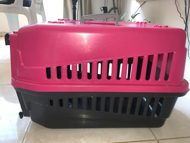 Caixa transportadora para pet