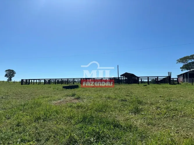 Fazenda 269,24 alqueires ( 1.303,14 hectares ) - General Carneiro-MT