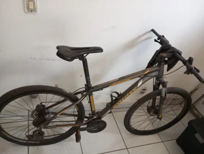 Bike Gonew Endorphine aro 29