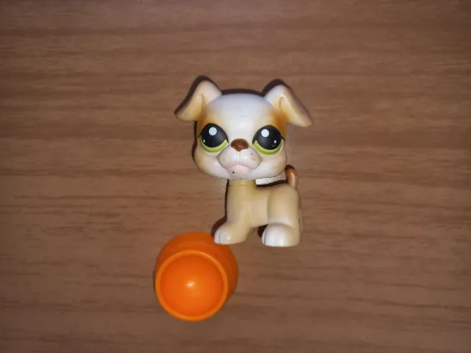 Boxer #235 Littlest Pet Shop com Acessório