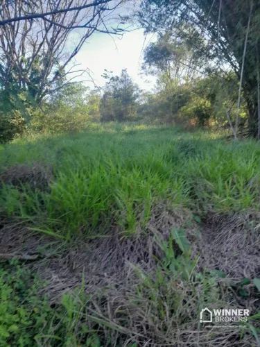 Área à venda, 90750 m² por R$ 350.000,00 - Rural - Corumbatai do Sul/PR