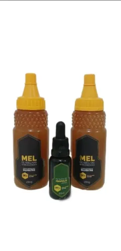Kit contendo 2 méis de 280ml + própolis verde 