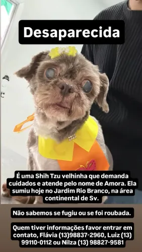 Procura se