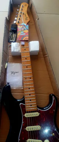 Guitarra tagima tw series 530