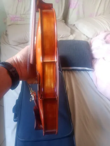 Violino profissional