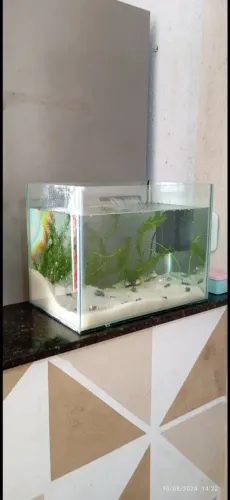 Aquario 20L completo