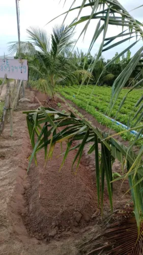 Terreno sítio barragem 