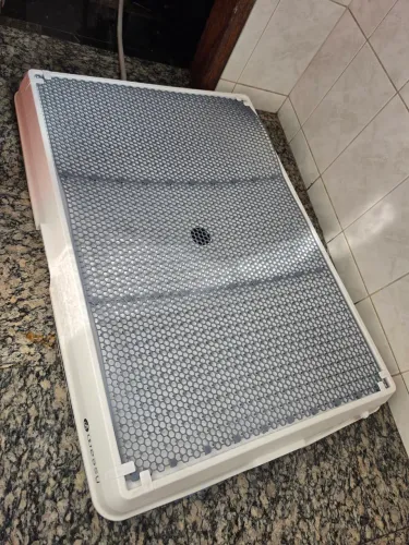 Weasy Cão Tam G