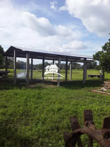 Fazenda para Venda em Arraias, ampla expansão agropecuária