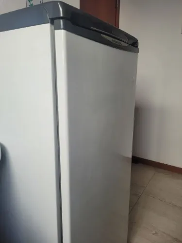 Freezer vertical prosdocimo 172L