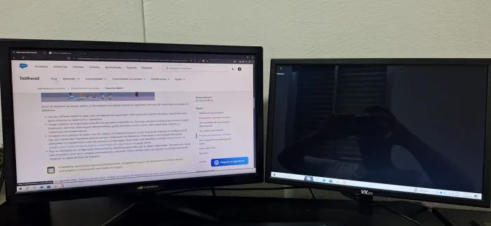 Monitores - Os 2 monitores por 400 reais! 