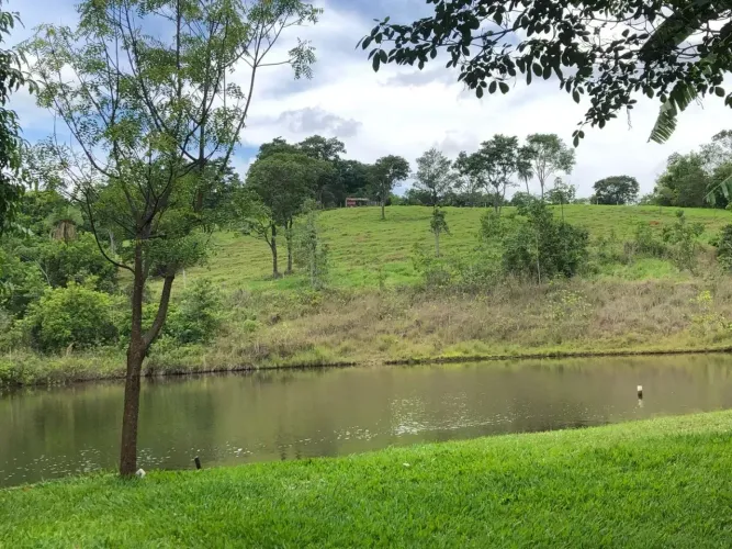 Fazenda Completa à Venda em Bela Vista de Goiás - 13 Alqueires às margens da GO-147