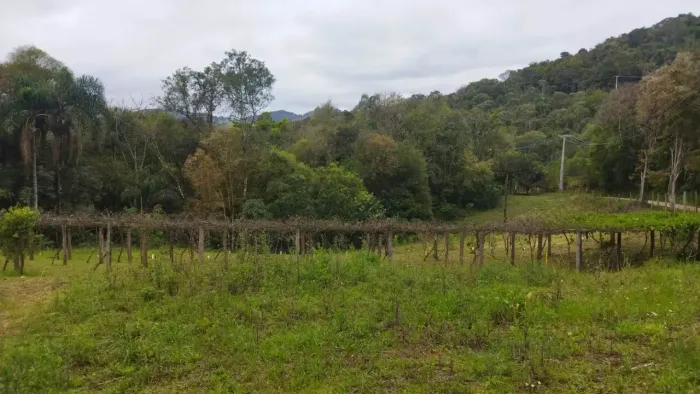 Chácara Campo Magro 85.000m² ou 8,50 hectares, área lavoura, córrego e preservação.